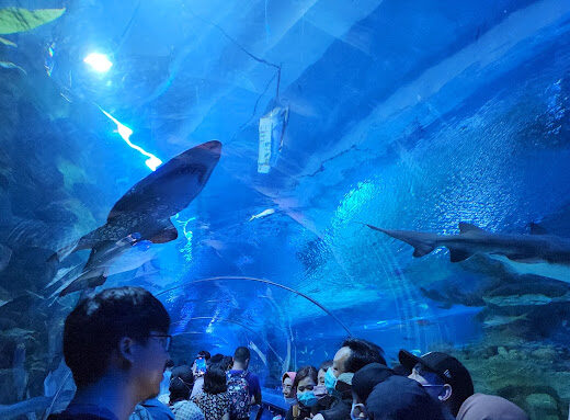 Aquaria KLCC