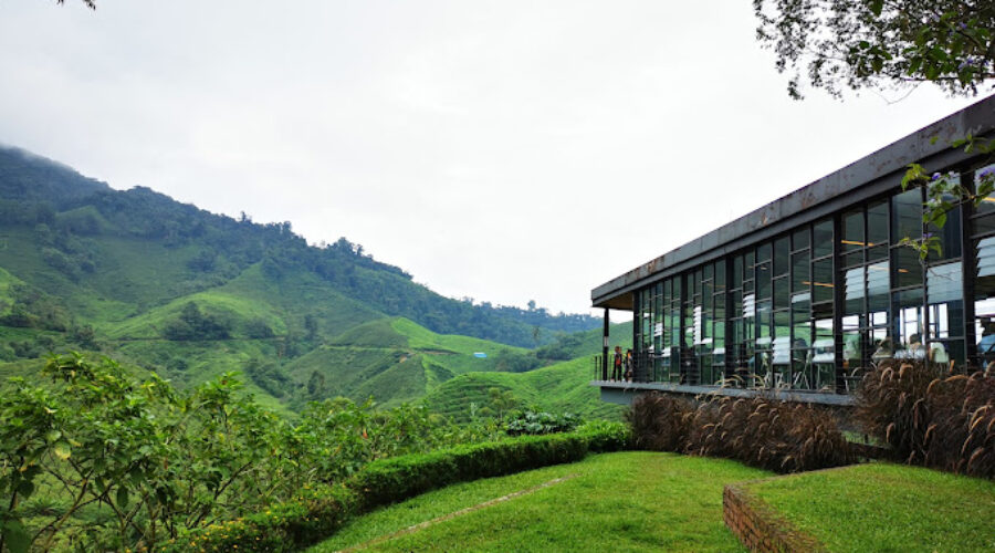 Two-Day Escape: Unveiling Cameron Highlands by Car