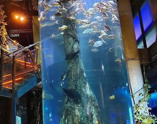 吉隆坡城中城水族馆