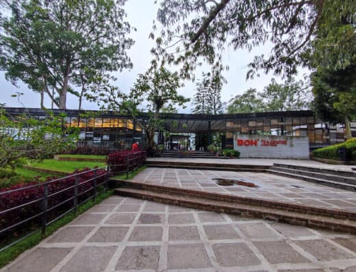 BOH Tea Centre