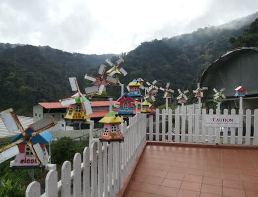 Cameron Lavender Garden