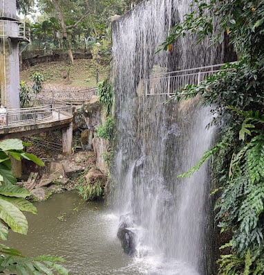 吉隆坡飞禽公园