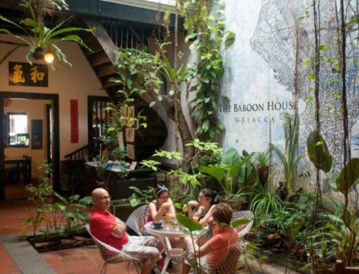 The Baboon House