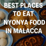Nonyam Malacca cuisine featuring traditional dishes served in blue and white ceramic bowls on a wooden table.
