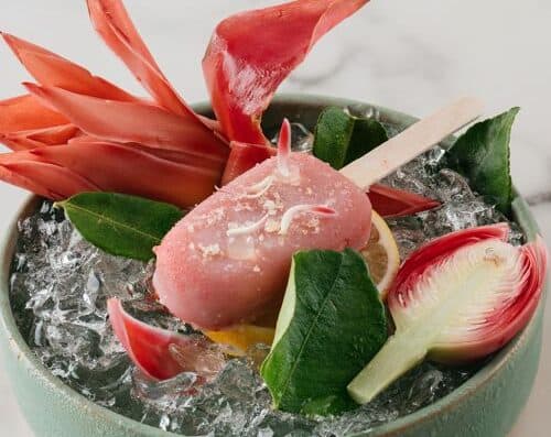 美味的纯素冰淇淋，上面点缀着可食用鲜花、新鲜香草和天然食材，盛放在冰床上，带来清爽的享受。.