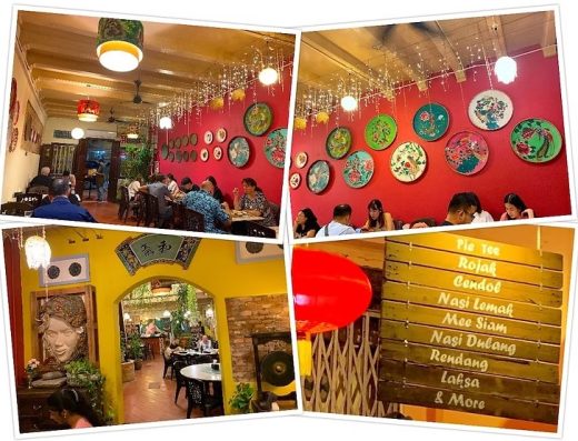 马六甲野生芫荽